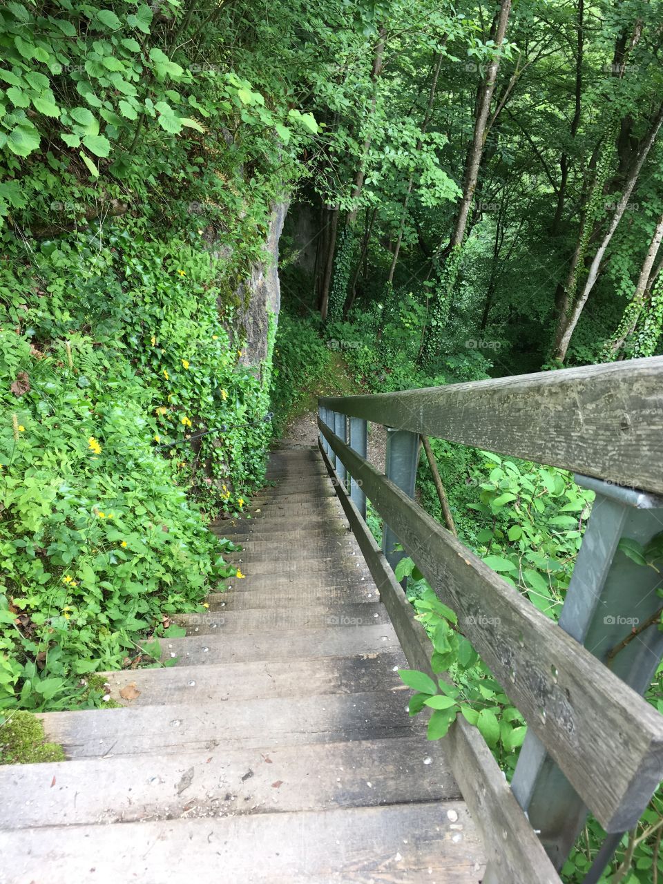 Hike Steps