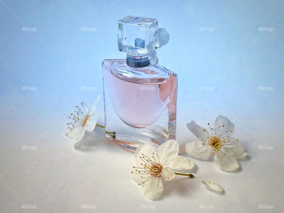 Bottle of perfume and white blossoms 