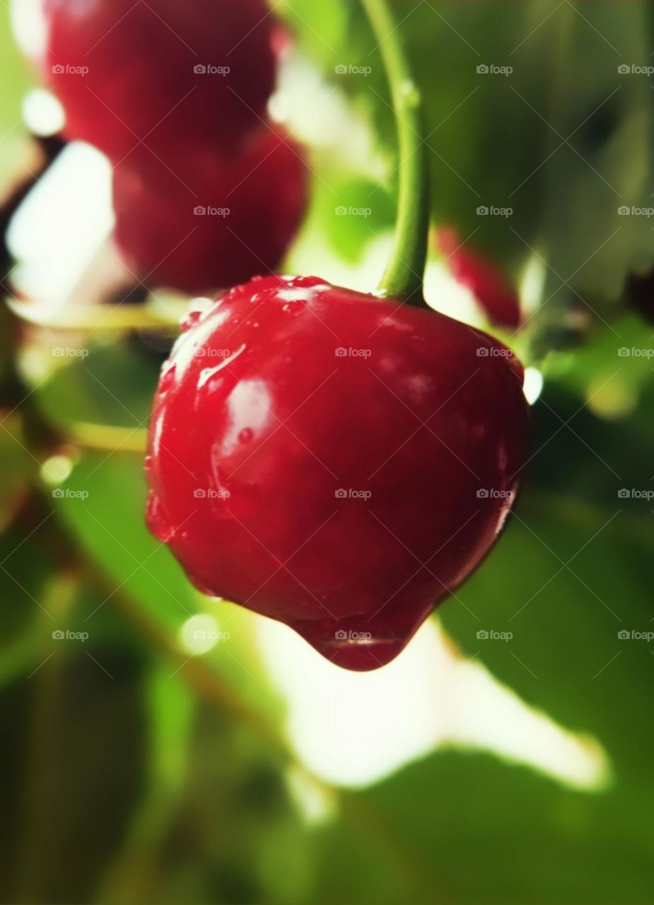 Hot day after the rain