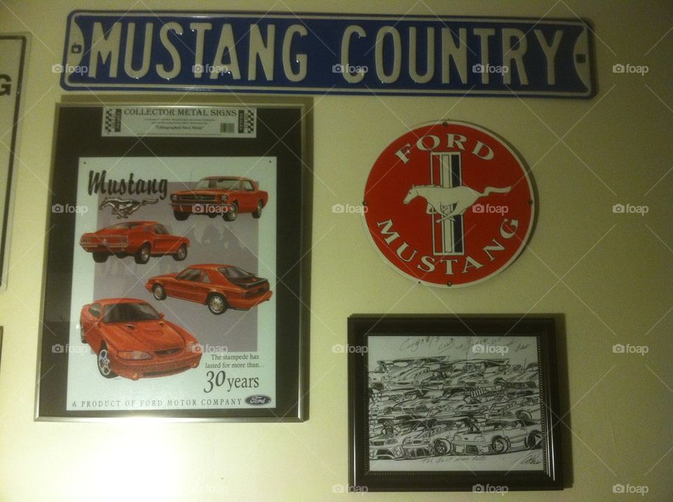 Mustang collage