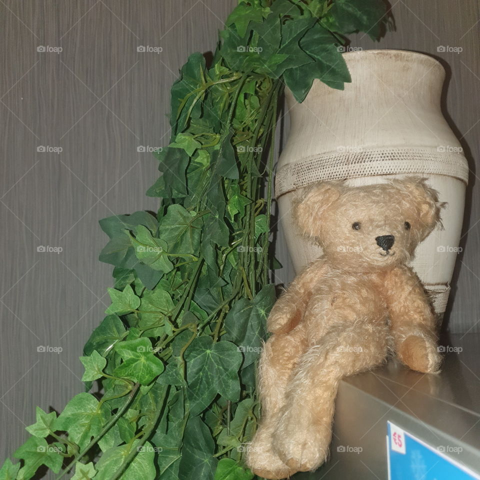 Decoration on the fridge