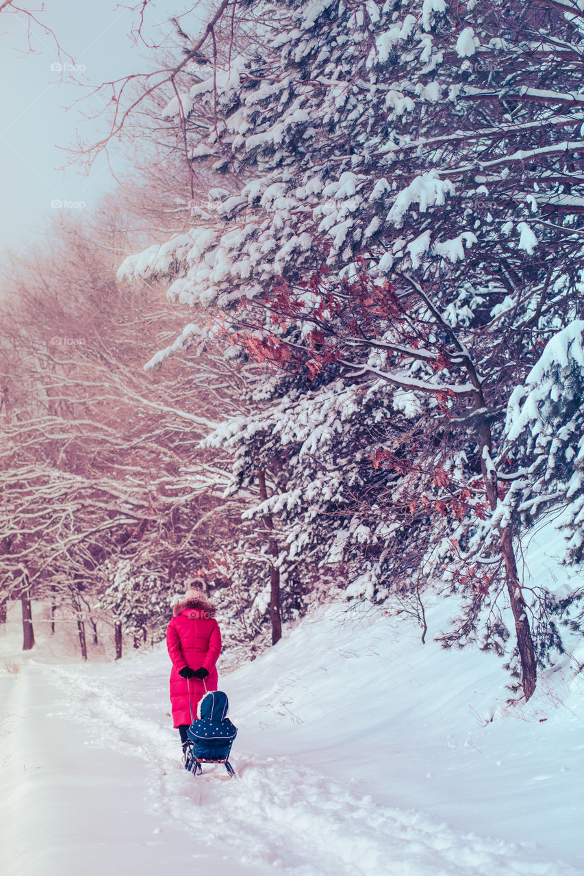 Mother and her little daughter are spending time together walking outdoors in forest in winter while snow falling. Woman is pulling sled, a few years old girl is walking through the deep snow, enjoying wintertime