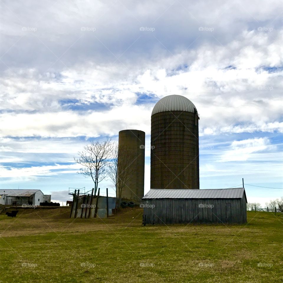 Virginia Farm