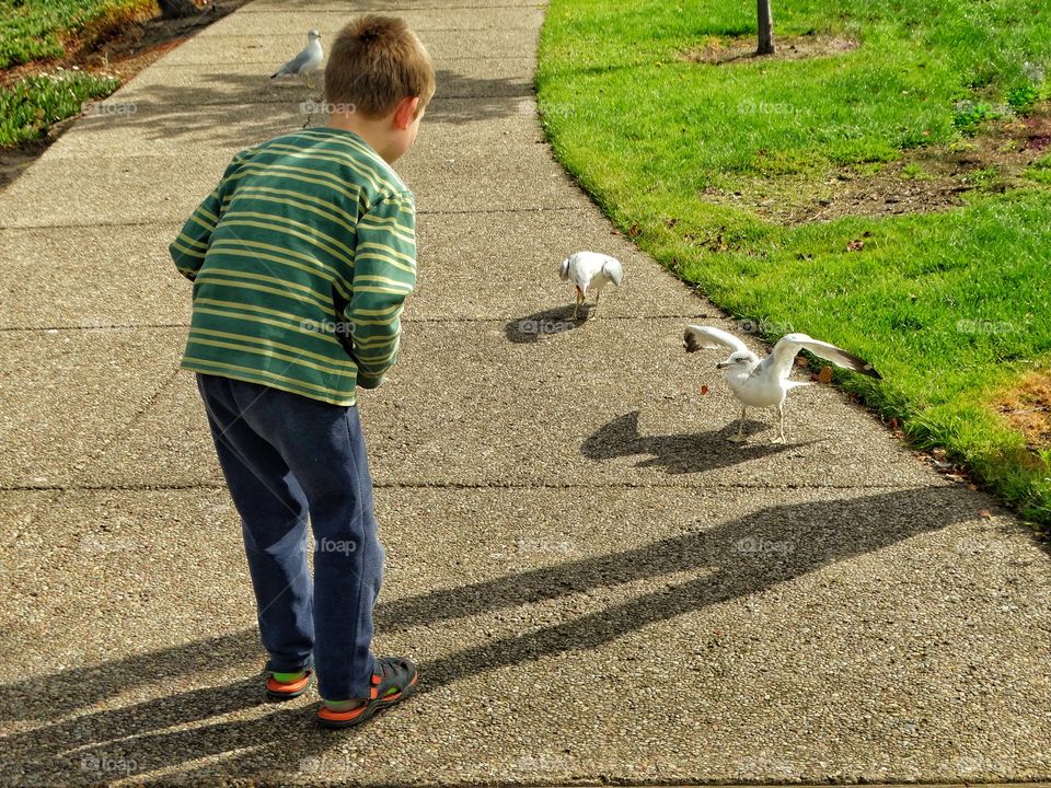 Boy Feeding Birds