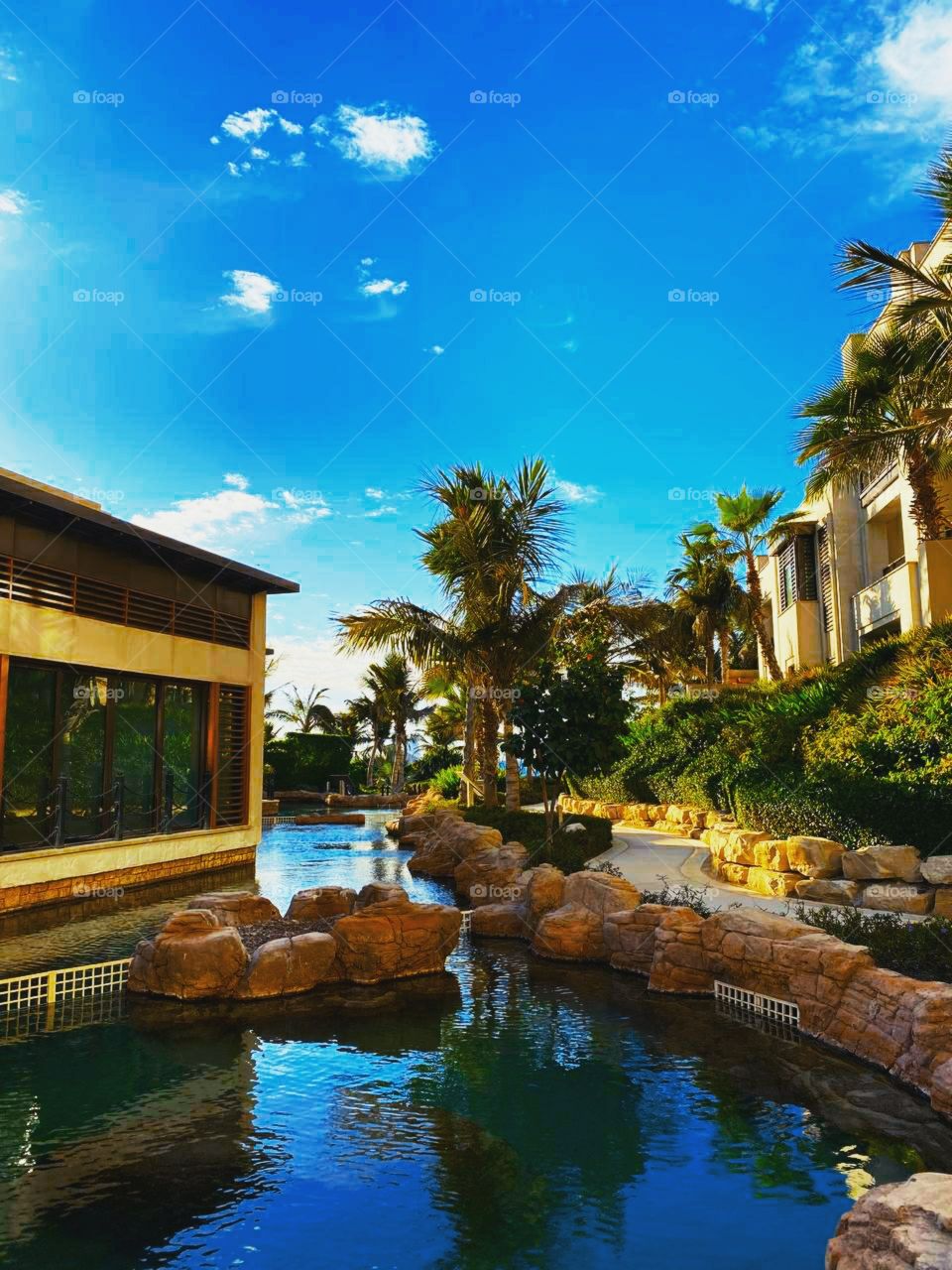 beautiful house with pool and palm trees