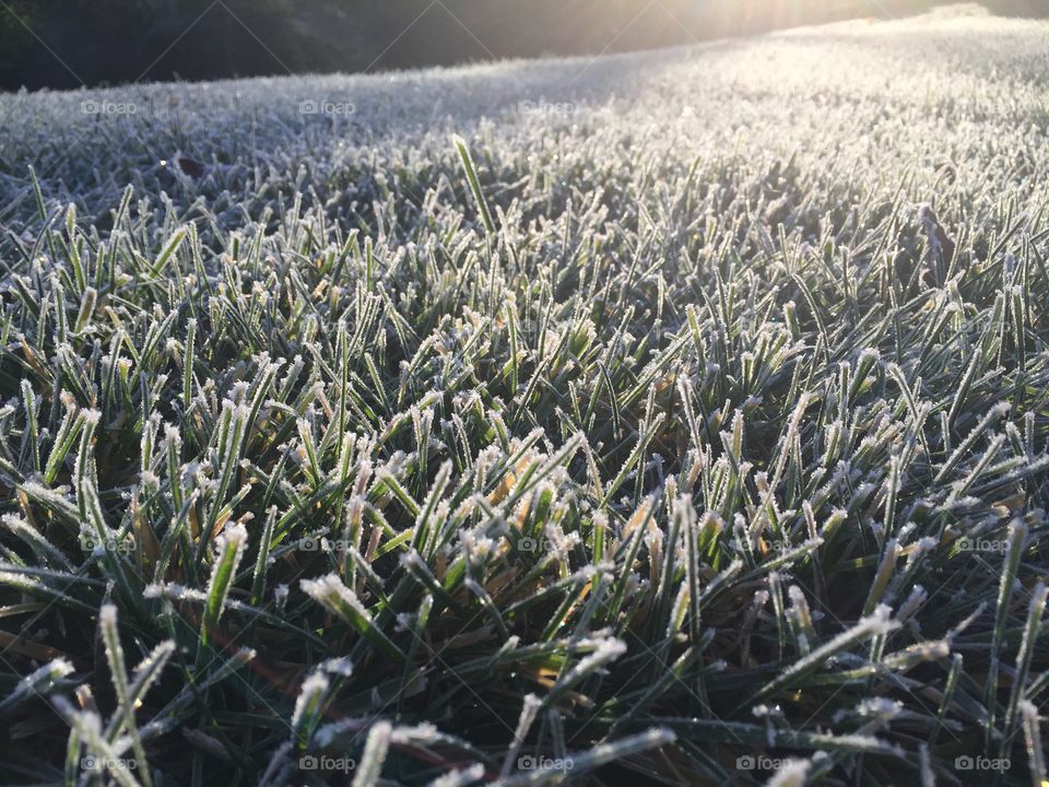 One minute left November frost 