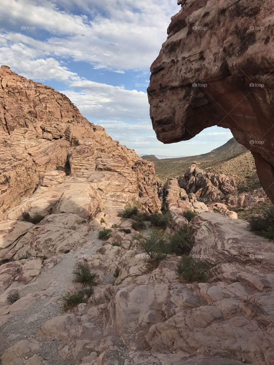 The amazing Red Rock Canyon. Can anyone find the face of an ape from the picture? Visiting tip: go late in the afternoon when tourists are the fewest and sunset lends the rocks a golden hue. #RedRock #Canyon 