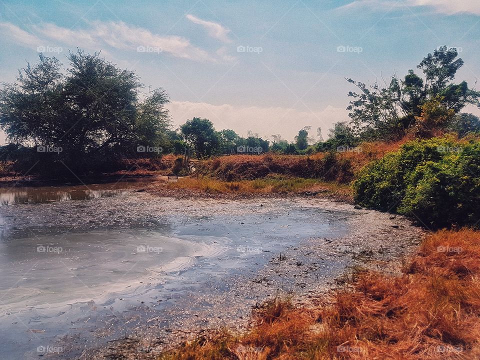 summer in the country side