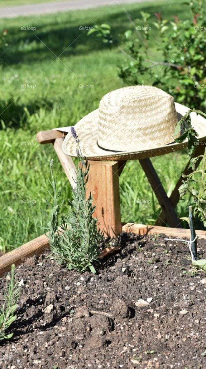 Chapéu de Palha. Straw hat
