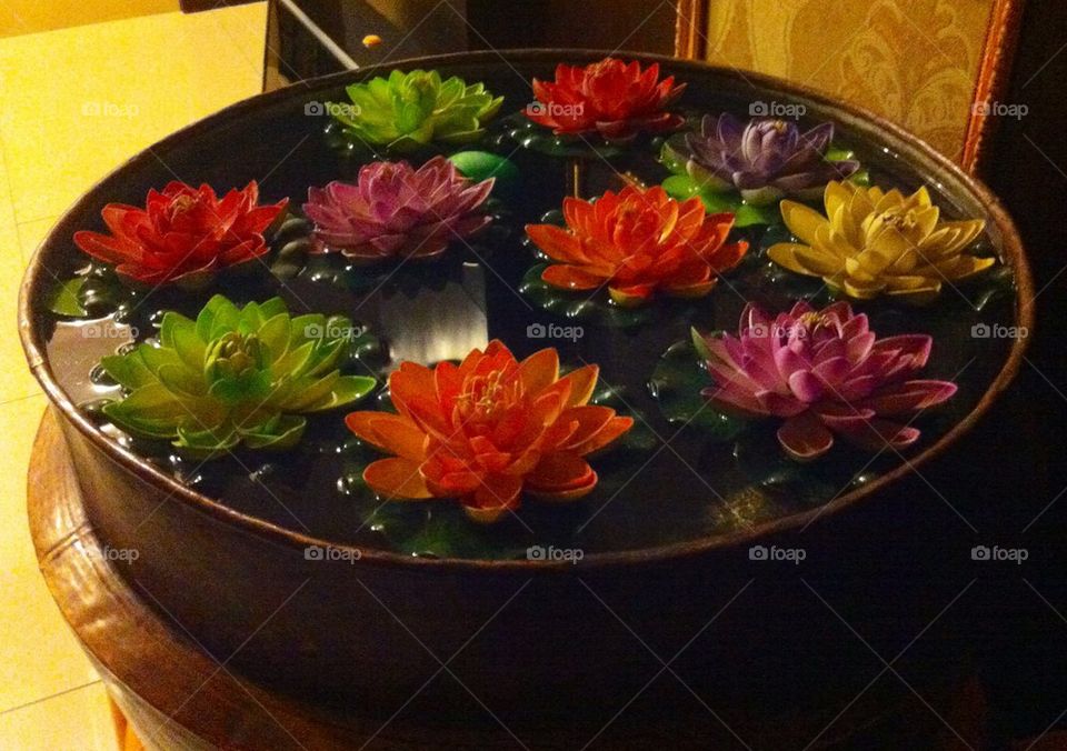 Lotus in Lhasa hotel