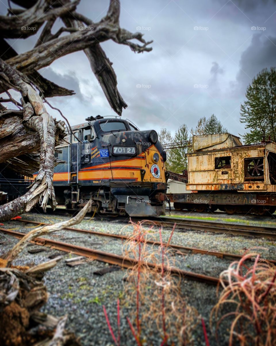 Do you see what I see? Train spotting. 