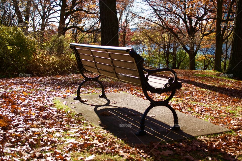 Bench, Fall, Park, Wood, Tree