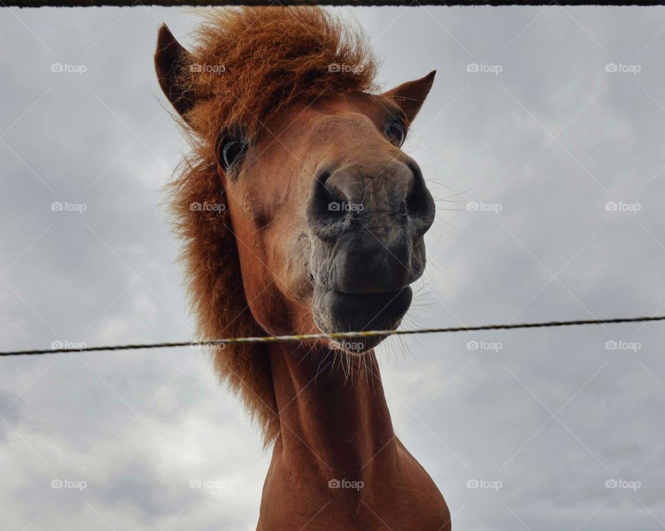 What's going on there ?