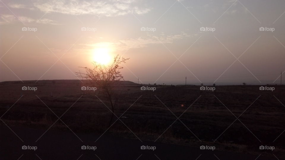sun is the veriable interesting seen.sun,land,trees combination image