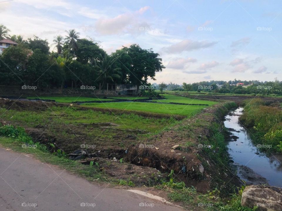 Beautiful village in Sri Lanka 