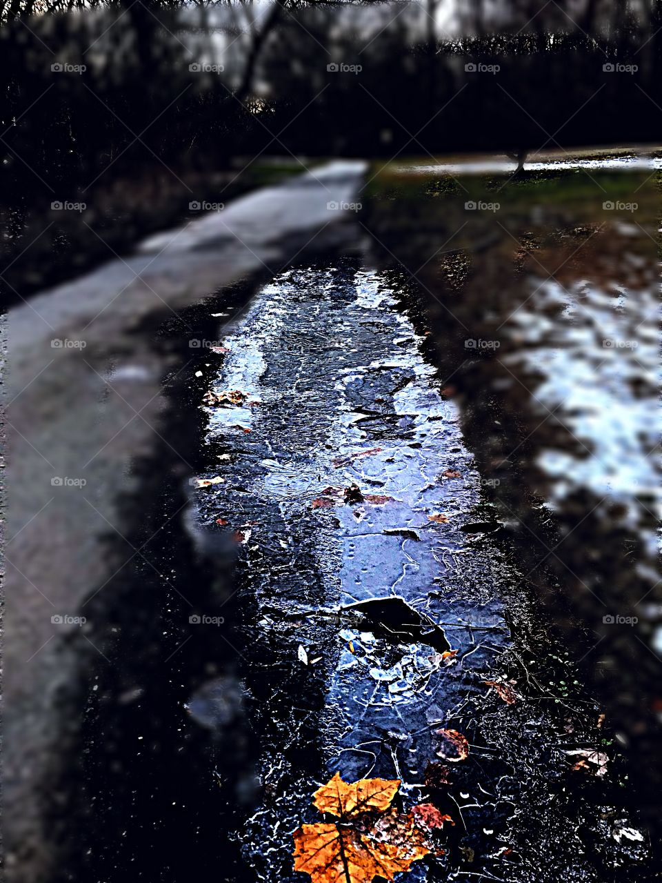 Phoshotz- a frozen puddle in january