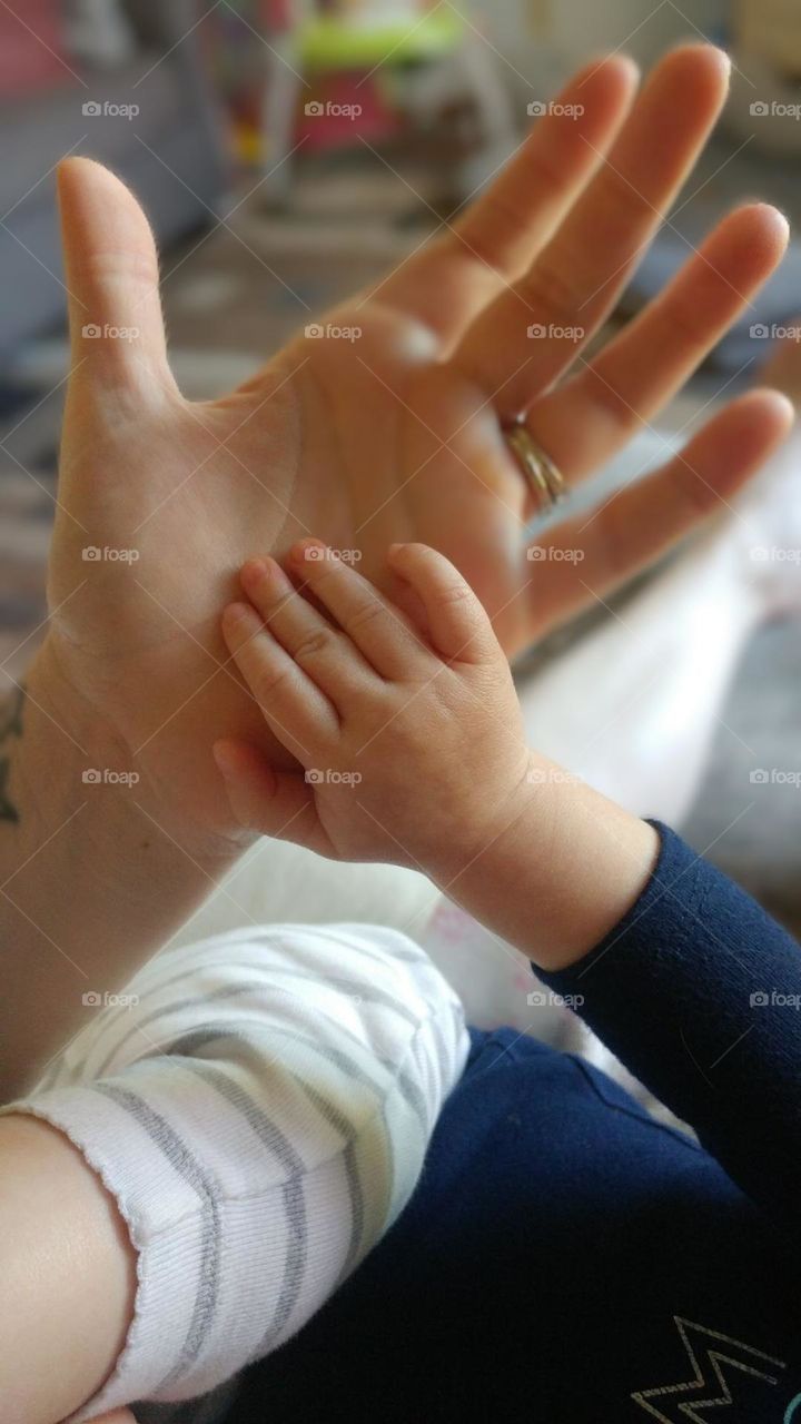 momma daughter holding hands, comparing hand size between baby girl and mom, tiny hand in bigger hand, mom and baby bonding