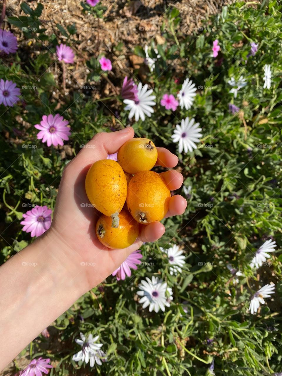 Spring fruits in the hand above the flowers 