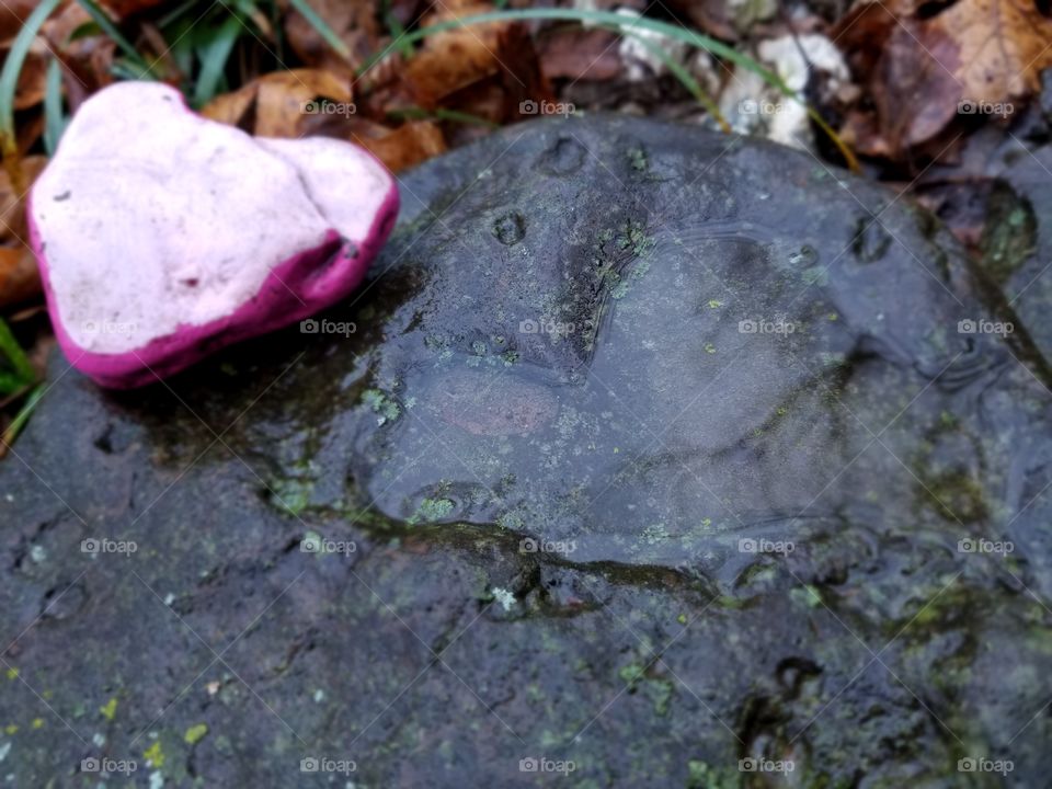 Double Heart Double Vision