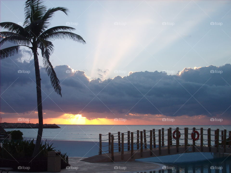 Mexico, Sunrise, Riviera Maya, Now Jade, Resort, Vacation, Palm Tree, Bridge, Ocean