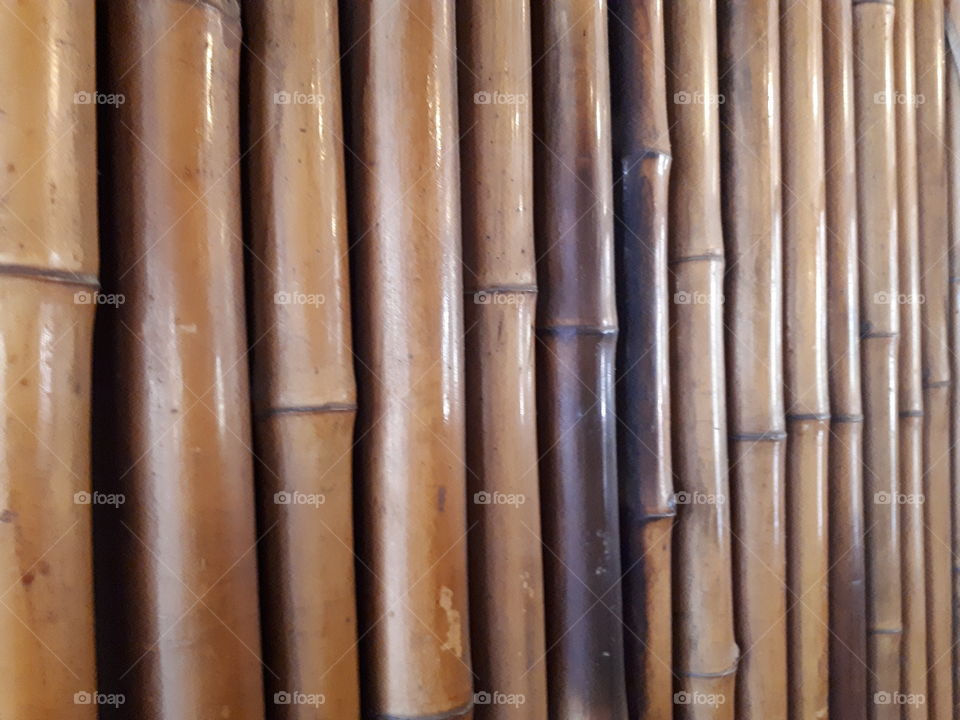 Bamboo stick covering a wall