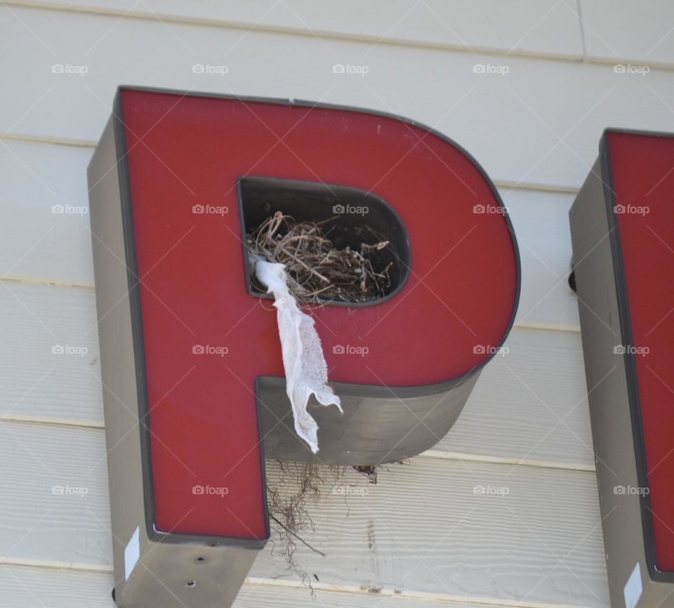 A red letter P hanging on a white building with a bird’s nest inside and white toilet paper hanging from it and cobwebs underneath 
