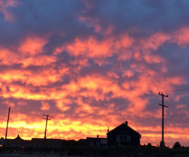 Cotton candy skies. 