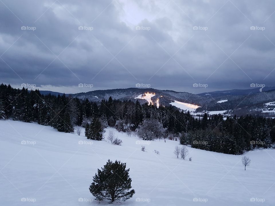 Winter landscape
