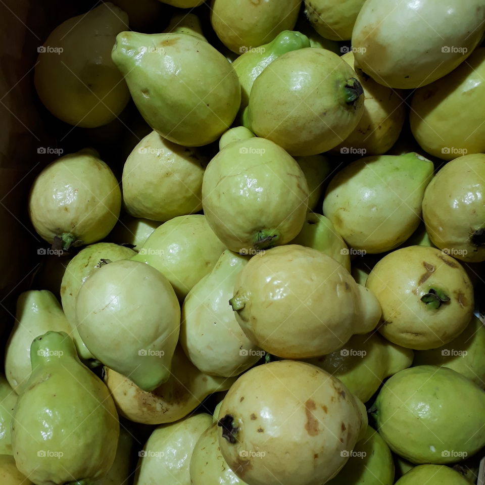 Fruit delicious guava