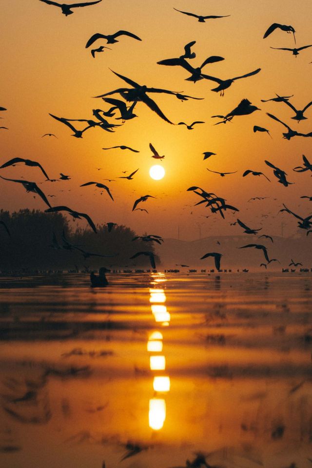 The sunset is one of the most beautiful scenery