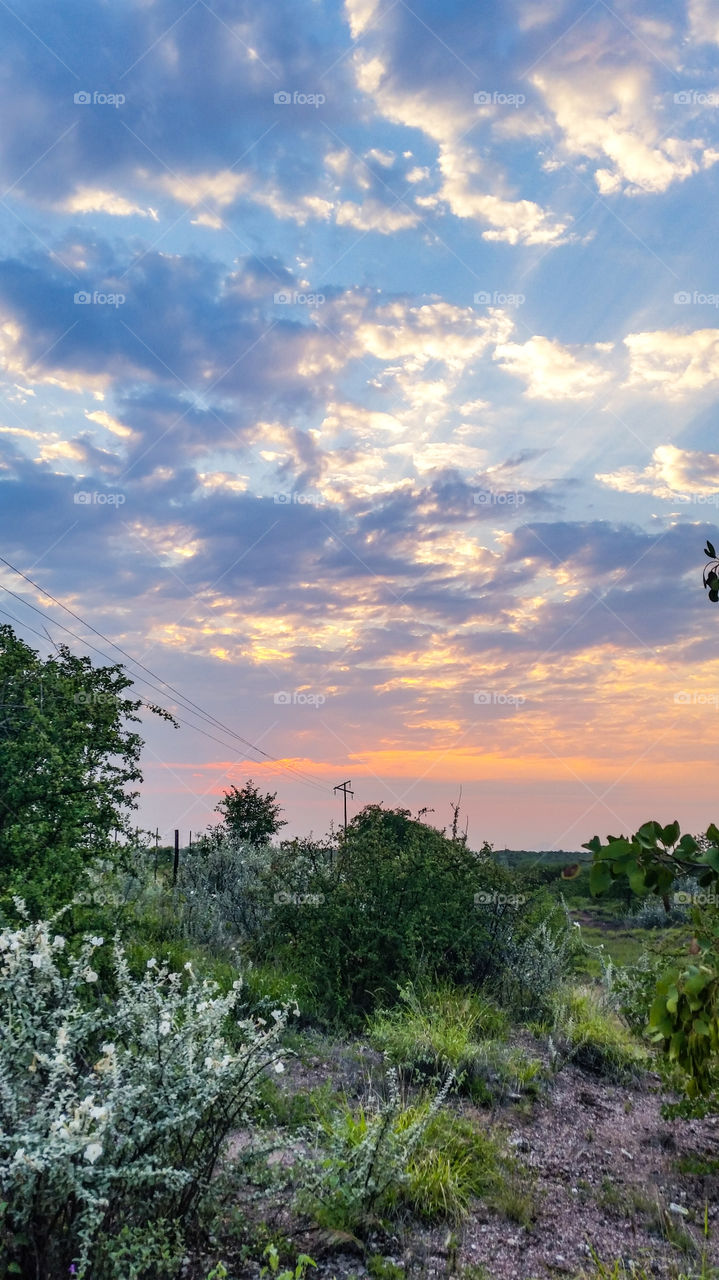 POV landscape of clouds and some vegitation