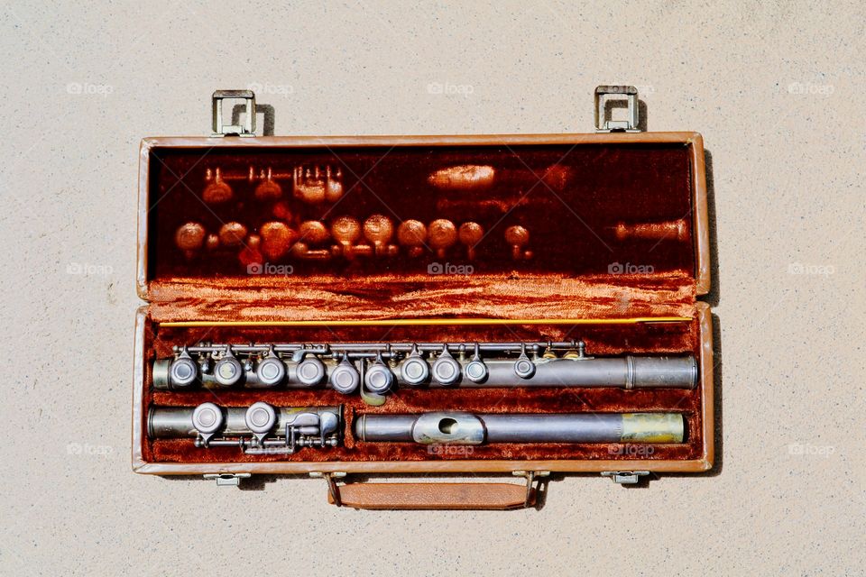 Flute. impression of flute in case is most interesting 