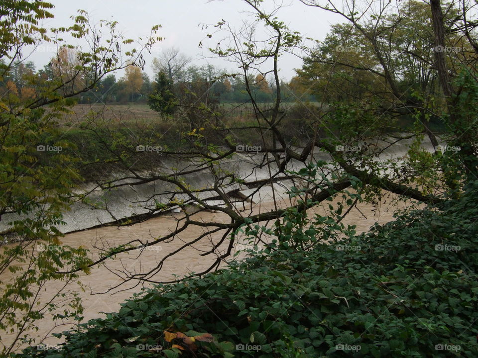 a creek after the flood