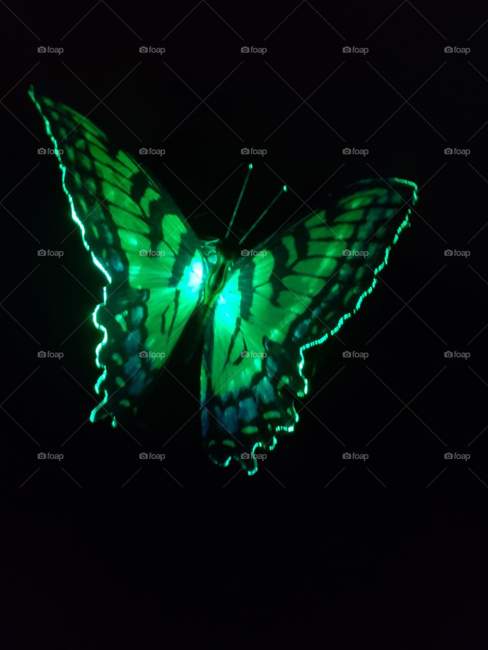 green butterfly solar light