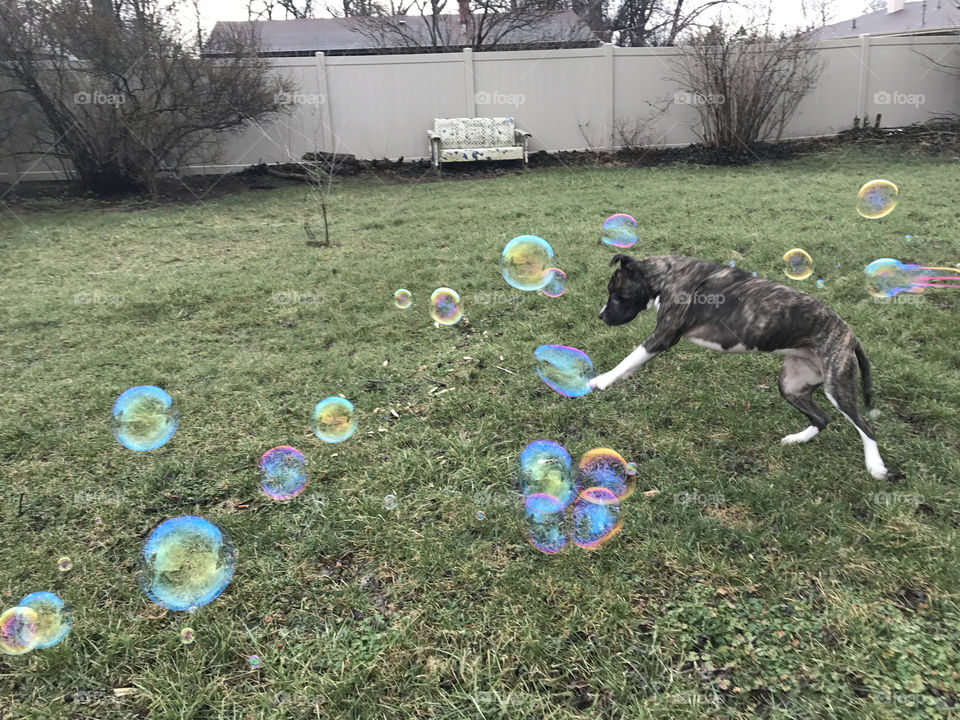 Hopping on bubbles