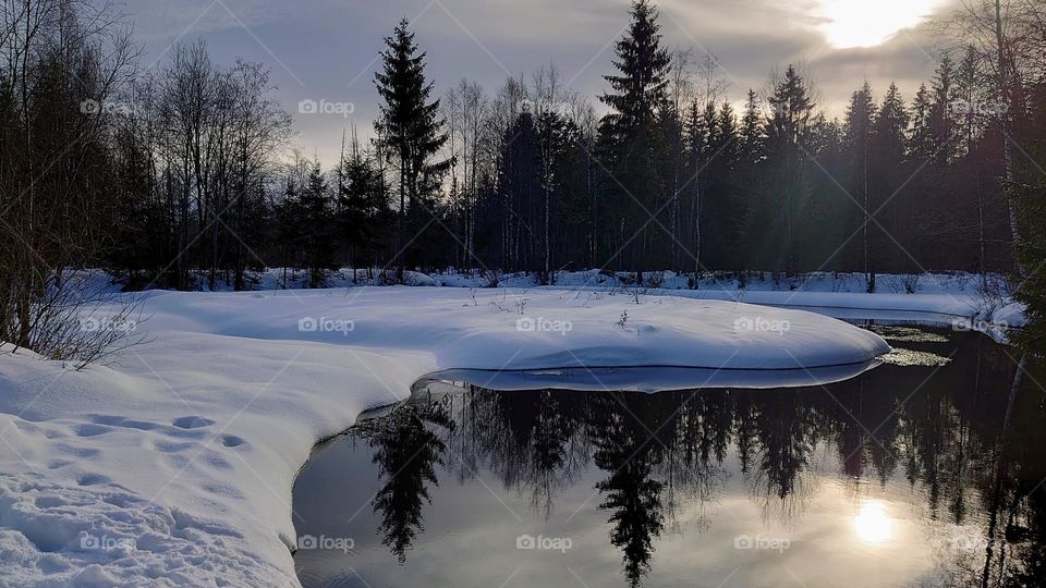 Winter forest landscape on the lake during sunset❄️🌲❄️🌲❄️