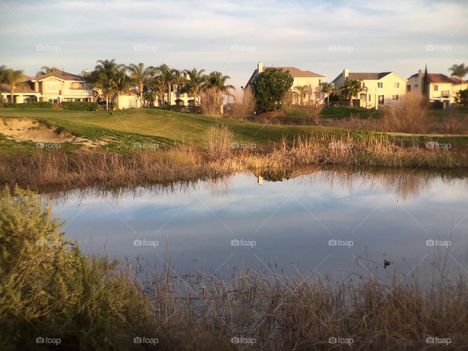 Houses next to Pond