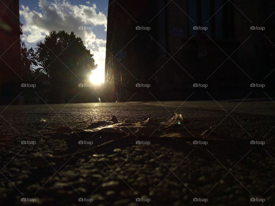 autunno e sole dopo giorni di pioggia