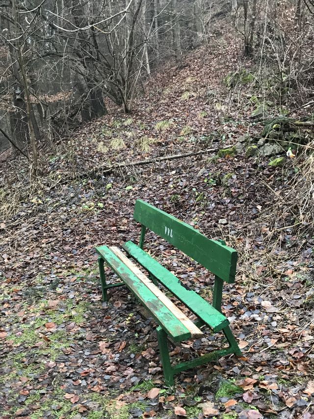 Waldbank