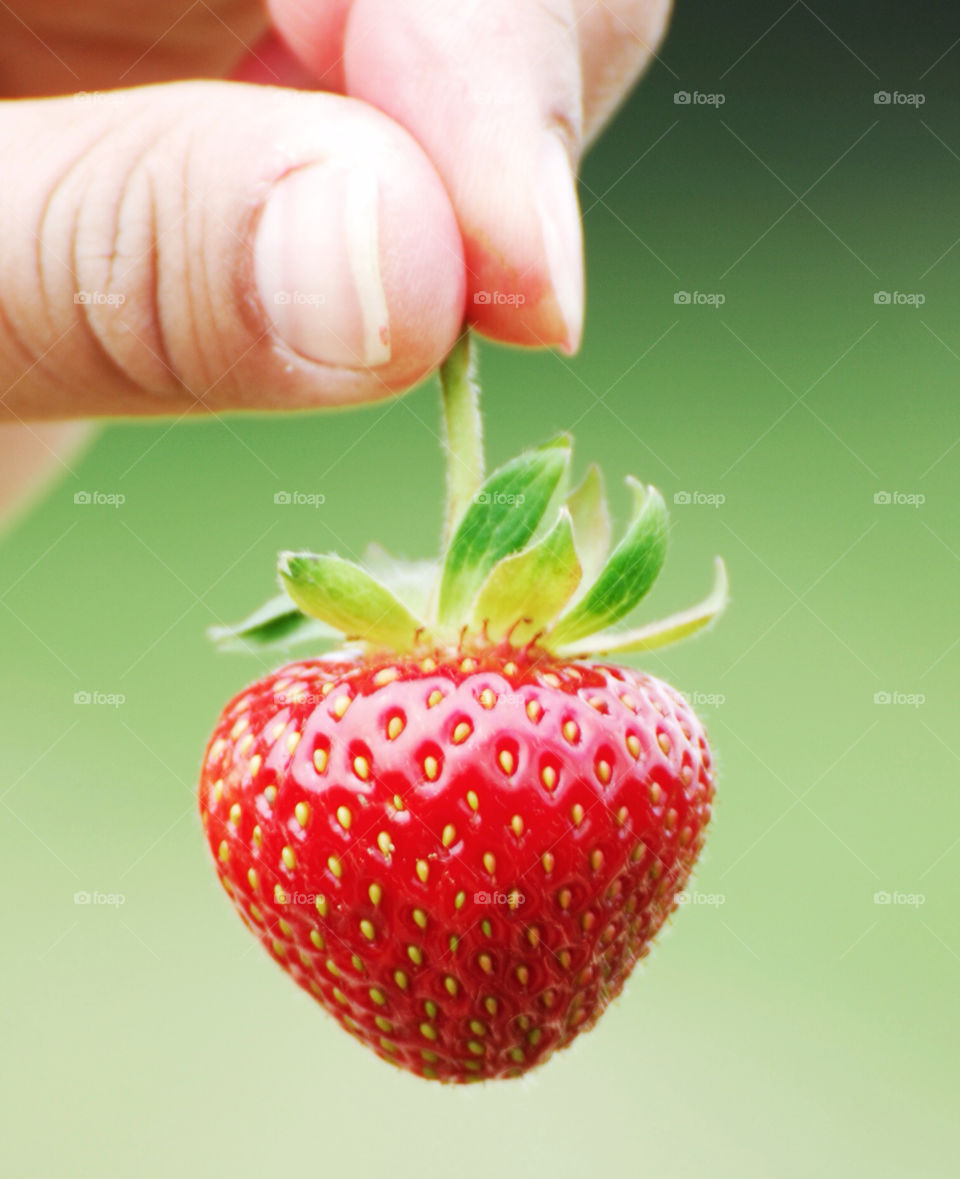 orange ny strawberry tips by delvec