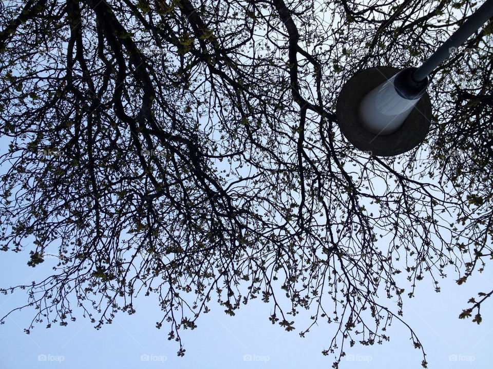 Waiting for the summer