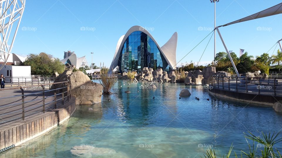 Valencia Aquarium