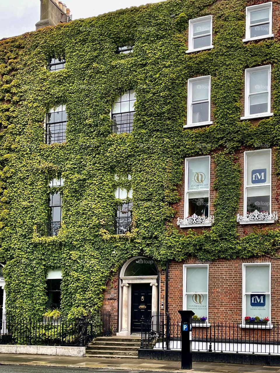 Ivy covers the red bricks of a Georgian row house in Dublin, Ireland.