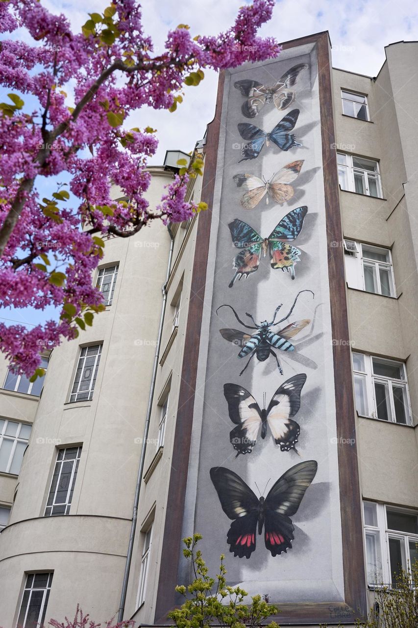 Street art. Vienna 
