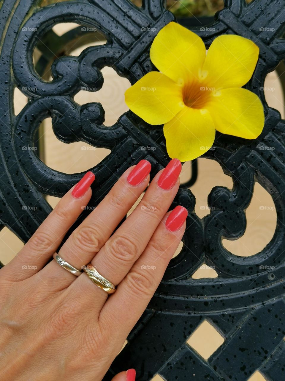 Pink manicure, natural nails, yellow flower.