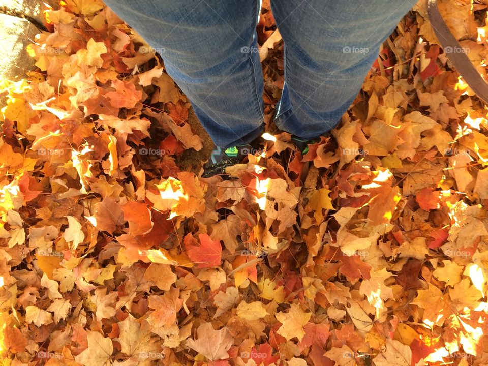 Feet in Pile of Autumn Leaves