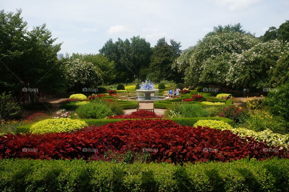Inside the Atlanta Botanical Garden. 