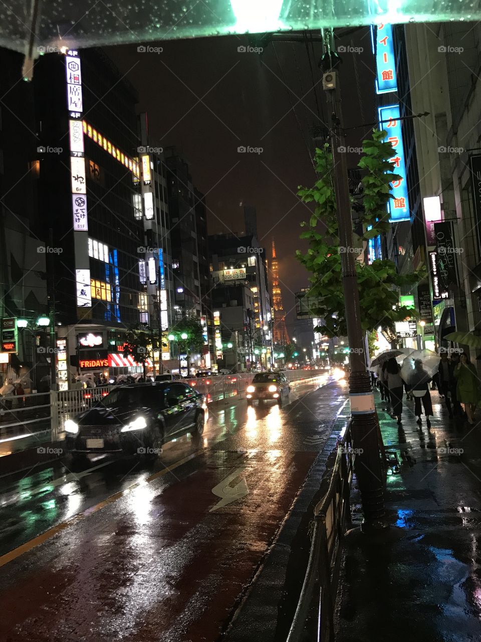 Tokyo, rein, Japan 