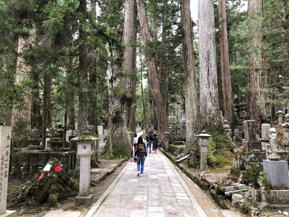 Okunoin cemetery (Japan)