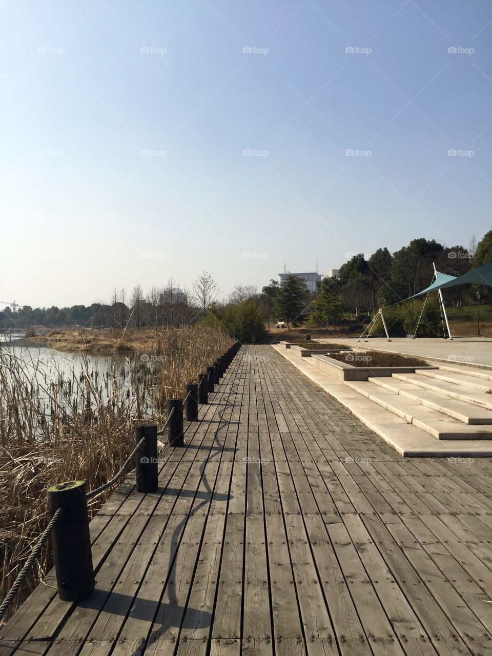 A wooden bank on a lake in a park